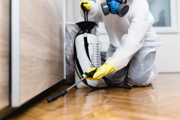 Best Flea Control Services  in Kimball, NE