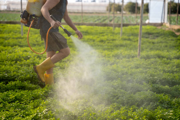 Best Exterminator Services  in Kimball, NE