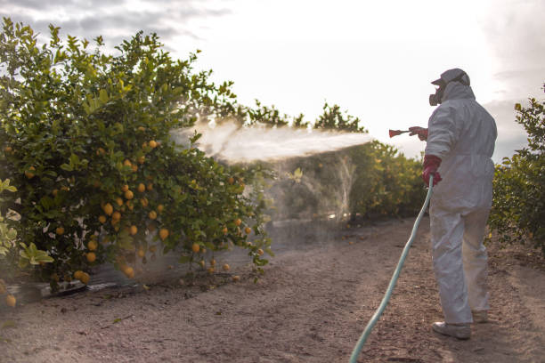 Best Cockroach Control Services  in Kimball, NE