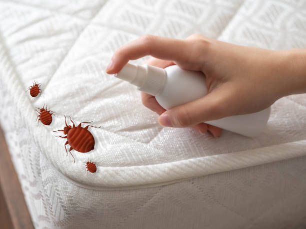 Best Commercial Pest Control Services  in Kimball, NE