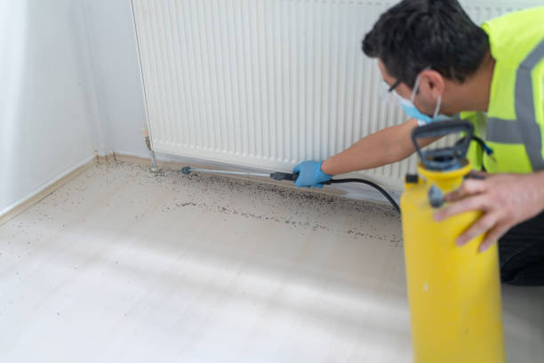 Professional Pest Control in Kimball, NE